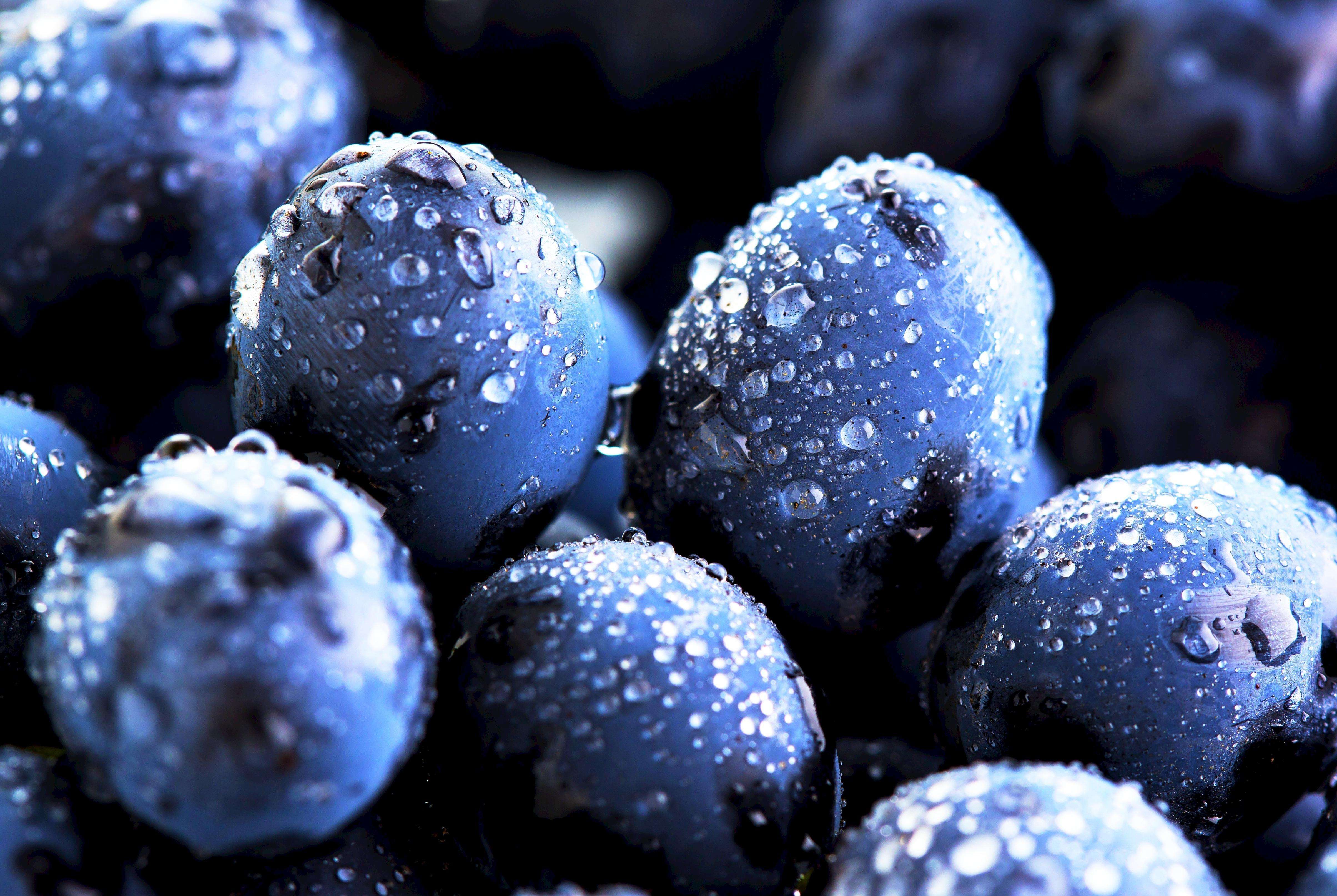 梅洛波尔多葡萄酒,梅洛法国红酒