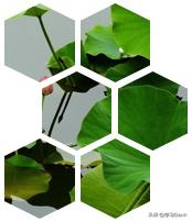 ppt里柱状图如何用图片填充,ppt如何将图片填充整个页面快捷键