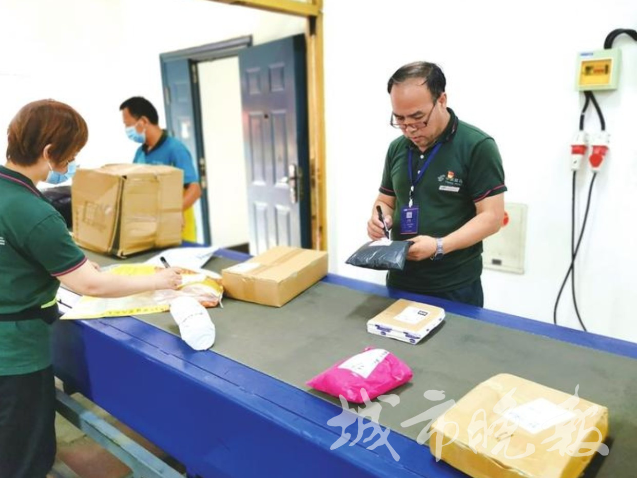 职业体验报告600字,360职业体验