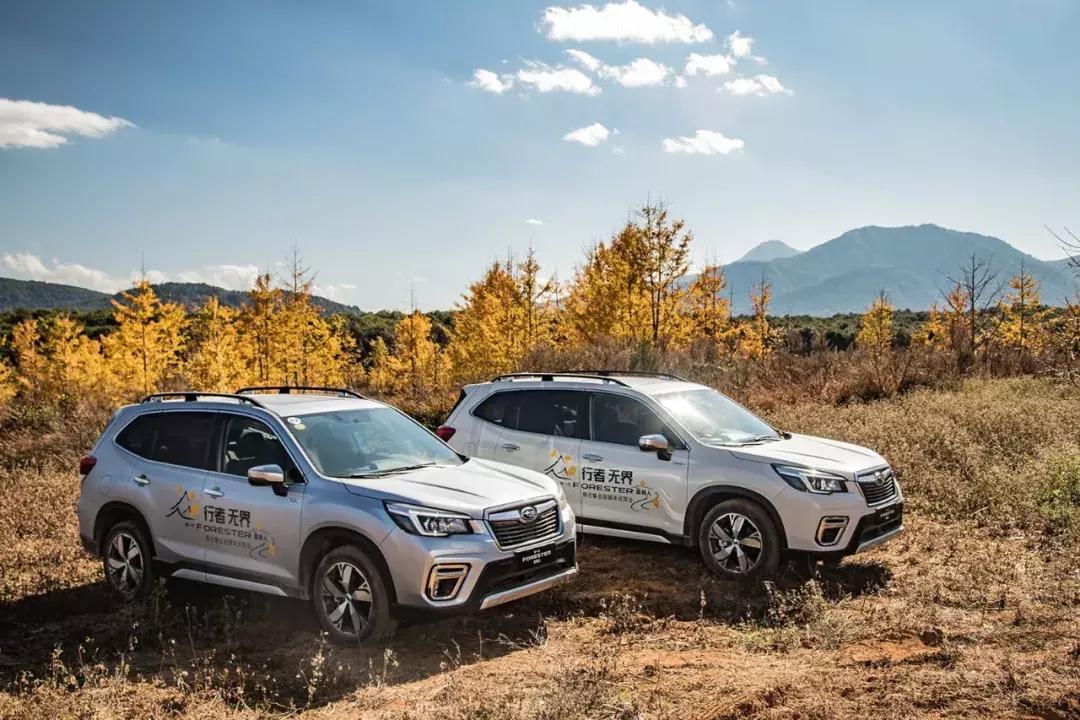 斯巴鲁森林人全时四驱不好使,全时四驱斯巴鲁森林人10款多重