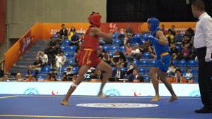 武术散手拳脚组合训练法,武术散手技法有哪些