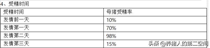 母猪生殖授精到妊娠的生理过程简介