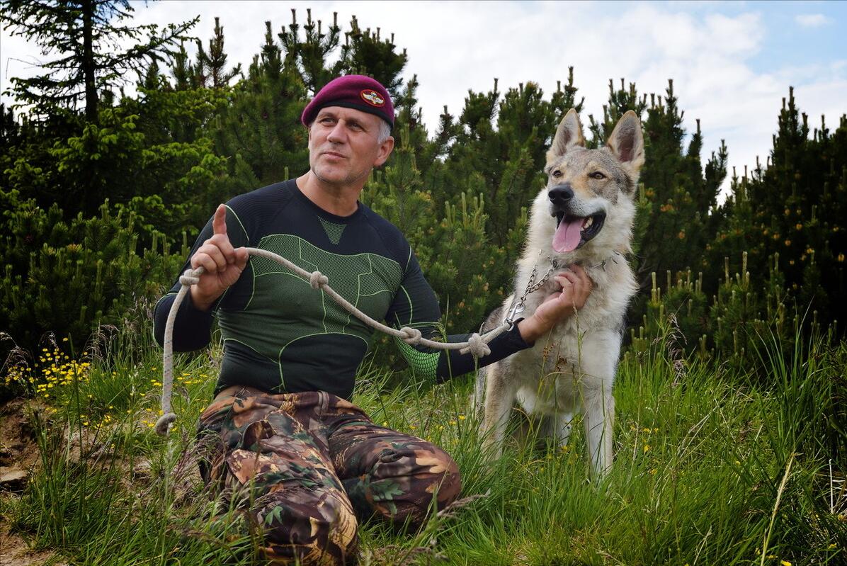 这6种狗超难养养好一半就是大神,最难养的5种狗没想到第一名是它