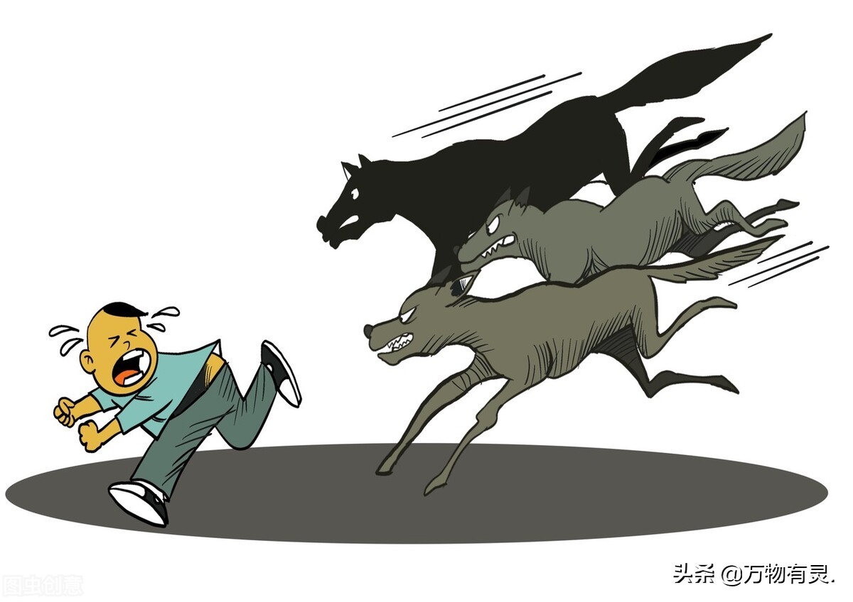 路上遇到咬人的狗怎么办,咬人的狗怎么训练