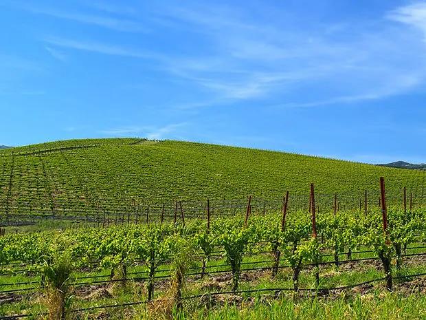 windowsxp的默认壁纸十年的变化,windowsxp壁纸现状