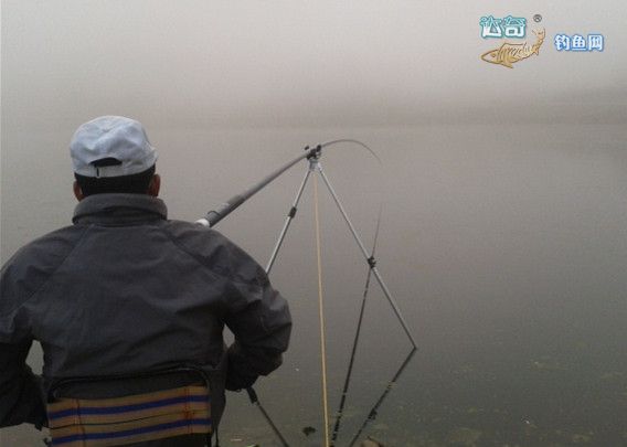 传统钓长竿推荐性价比高的鱼竿,品牌鱼竿传统钓