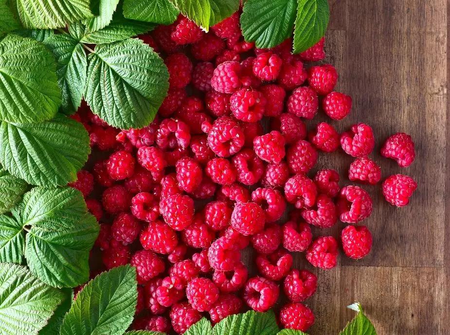 辽宁葫芦岛特产有哪些,辽宁特产有哪些值得带去的