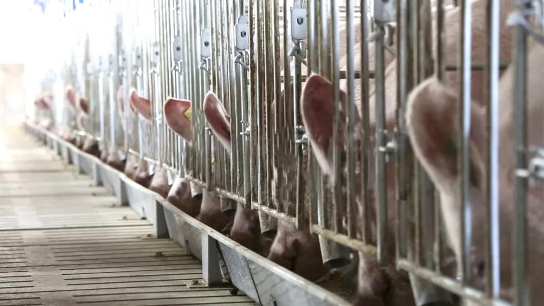 没有无缘无故的爱有付出才有回报,没有无缘无故的爱秦海璐