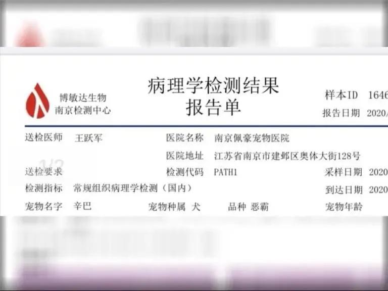 寄养“恶霸”离奇暴毙，医生说，可能是热的……