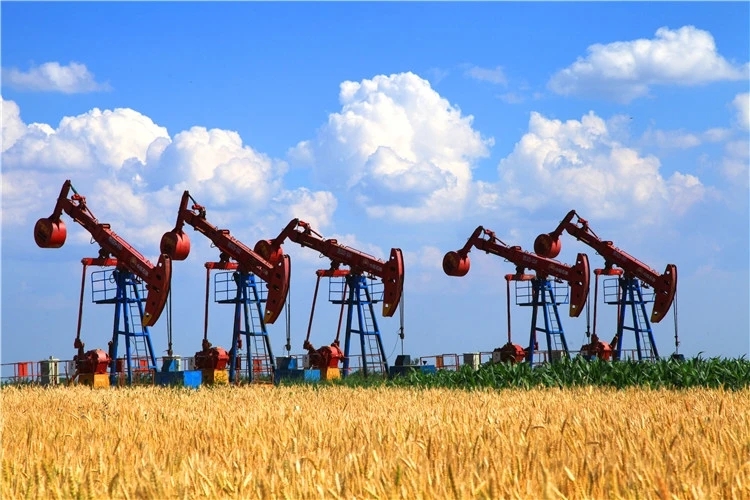 甘肃庆阳经济在全省排名多少名,庆阳增速