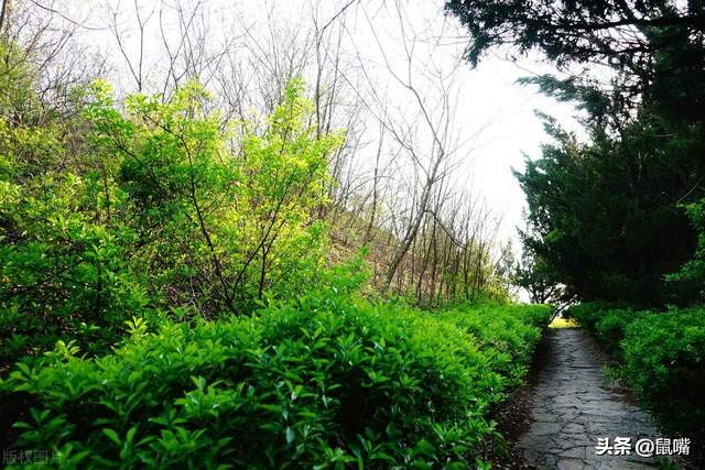 淮南子俶真训译文,淮南子原文译文带拼音