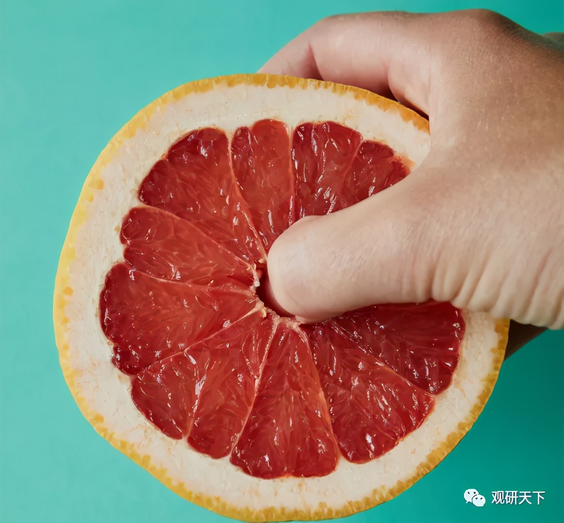 中国电商行业环境分析,垂直生鲜电商