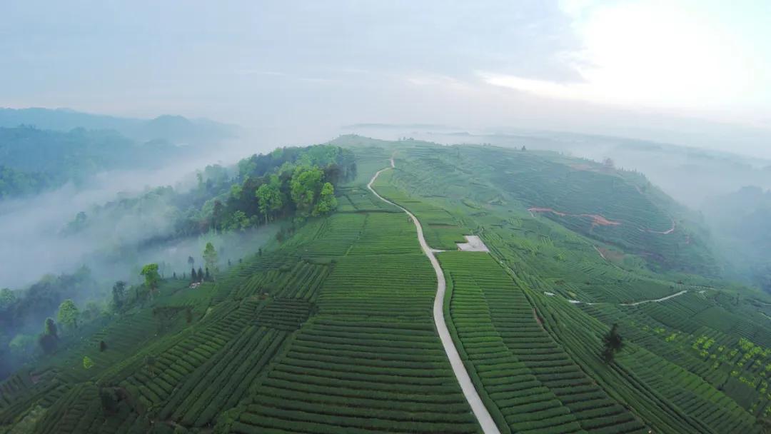 雅安这几天发生的车祸,这就是雅安原版