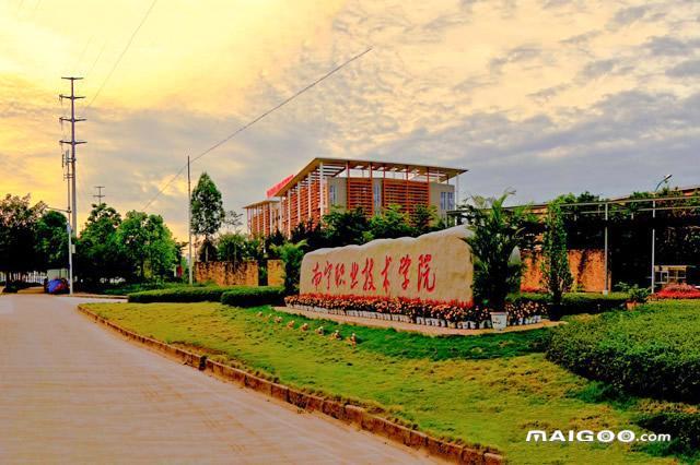 广西十大专科学校排名广西十大高职院校广西最好的十大专科院校