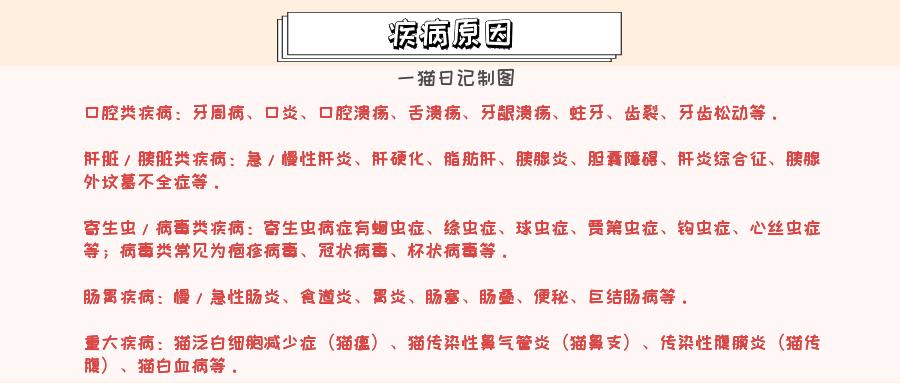 猫咪食欲不振是什么原因,猫咪食欲不振最佳解决方法