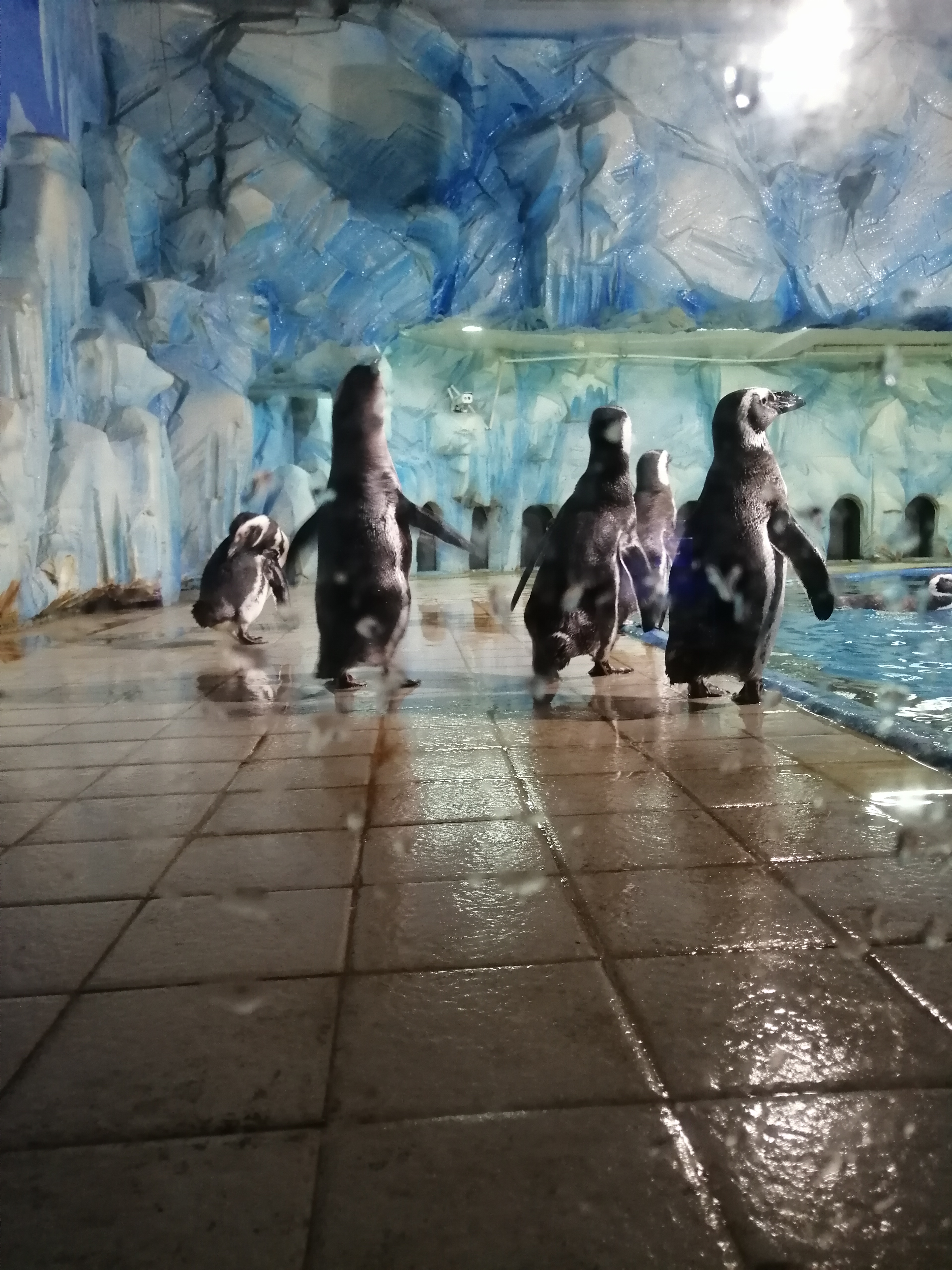 常州金鹰海洋世界19.9元,常州金鹰海洋世界开业