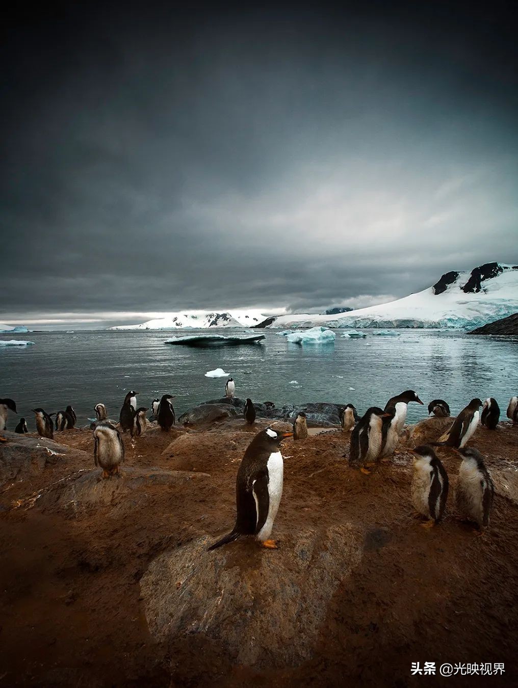 2020年IPA国际摄影奖获奖作品(专业组年度摄影师)