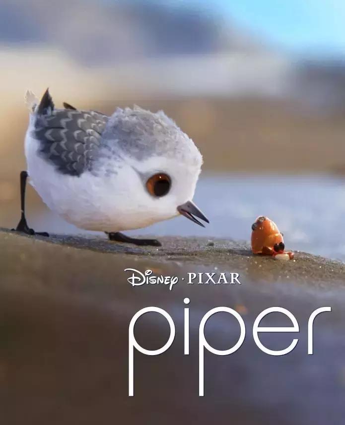 皮克斯动画短片昼与夜,十大儿童动画短片皮克斯