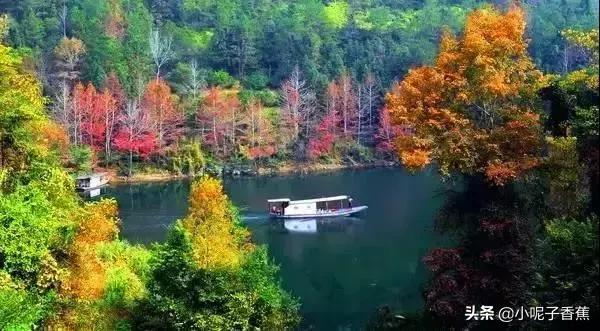 回到梅州你后悔了吗,你回梅州了吗