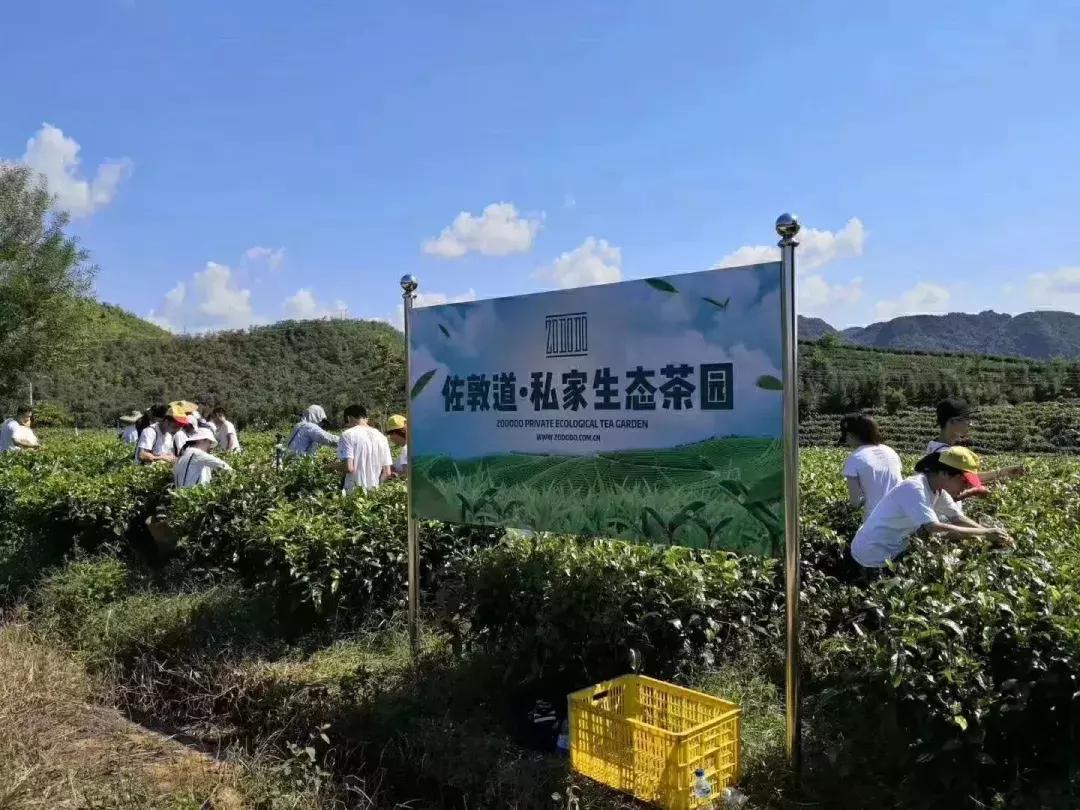 十年仅200家店，“慢行”佐敦道为何值得我们学习？