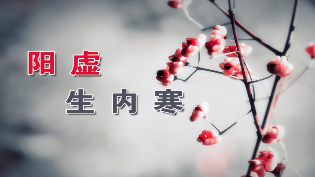 脾胃阳虚用什么经方,阳虚脾胃虚弱怎么调理好