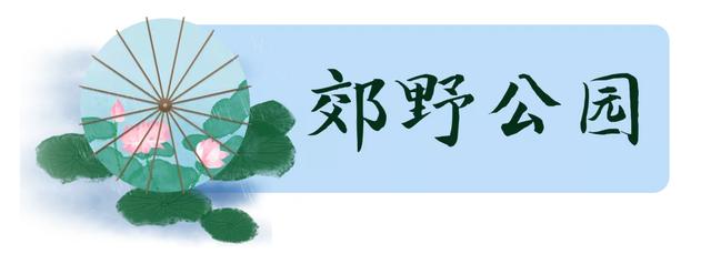 昆明周边一日游最值得去的地方,昆明周边一日游的地方推荐