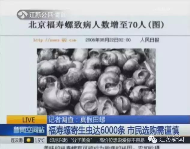 福寿螺冒充田螺流入市场,用福寿螺冒充田螺半成品