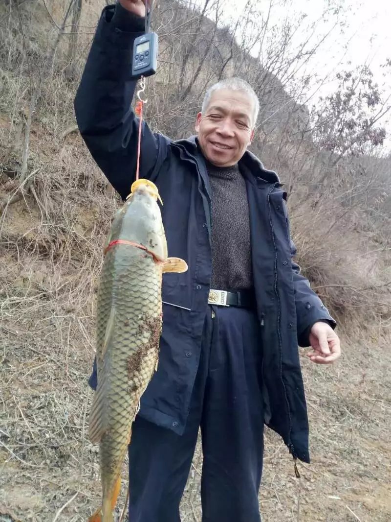麝香大鲤，给我惊喜。夜钓想有好收获好位置和好饵料一个不能少