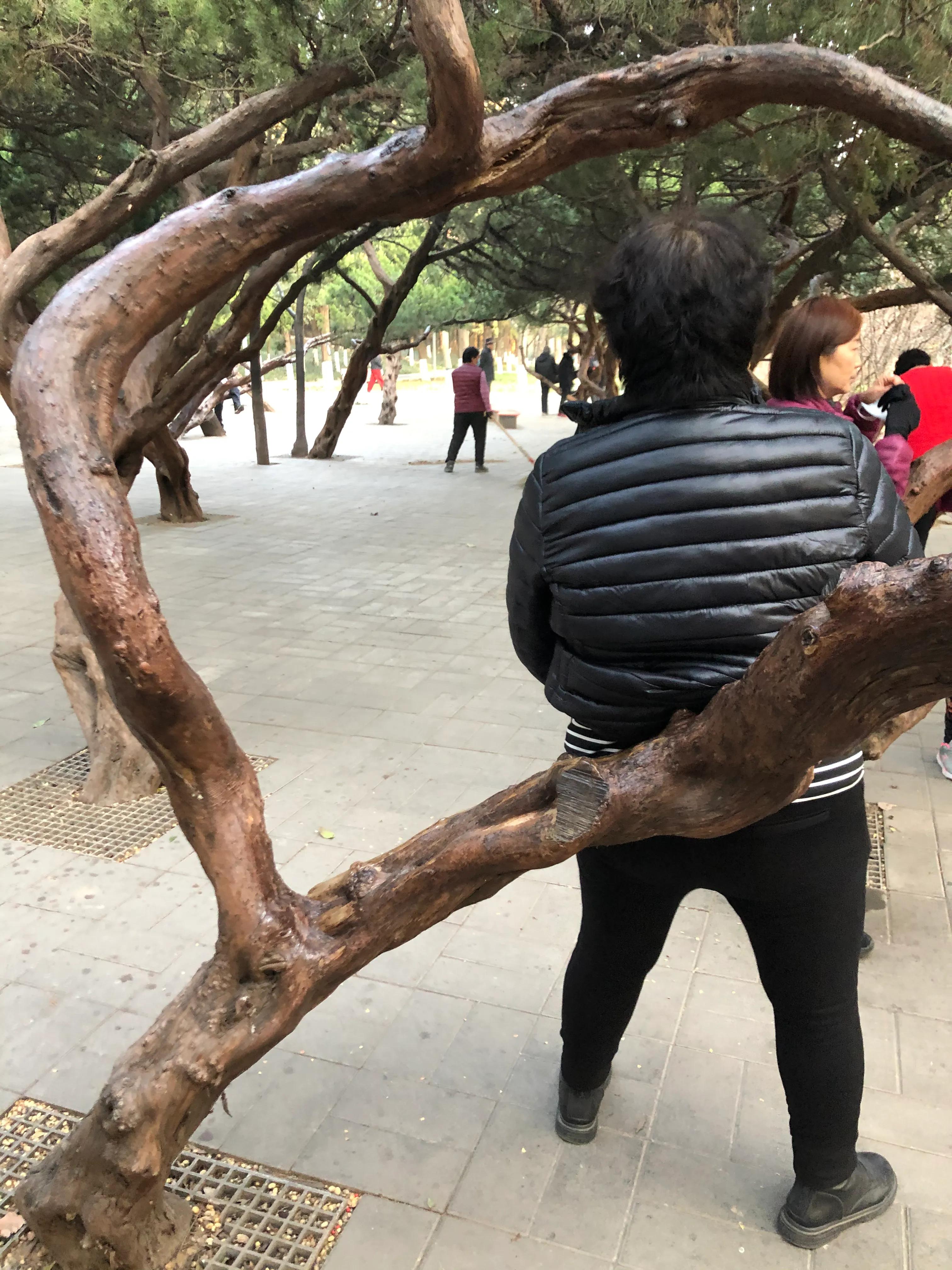 平顶山河滨公园旅游攻略,平顶山森林公园游记