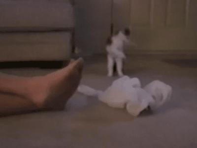 鞋里放个球，轻松解决臭脚问题，一个能顶45天