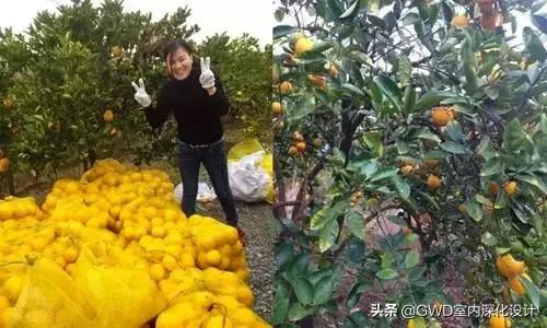 为了钓鱼在水库修一座别墅,最惊艳的民宿设计图