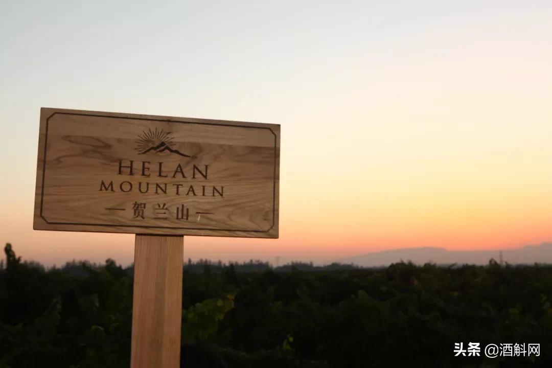 宁夏酒庄分级一览表,中国酒庄级别划分