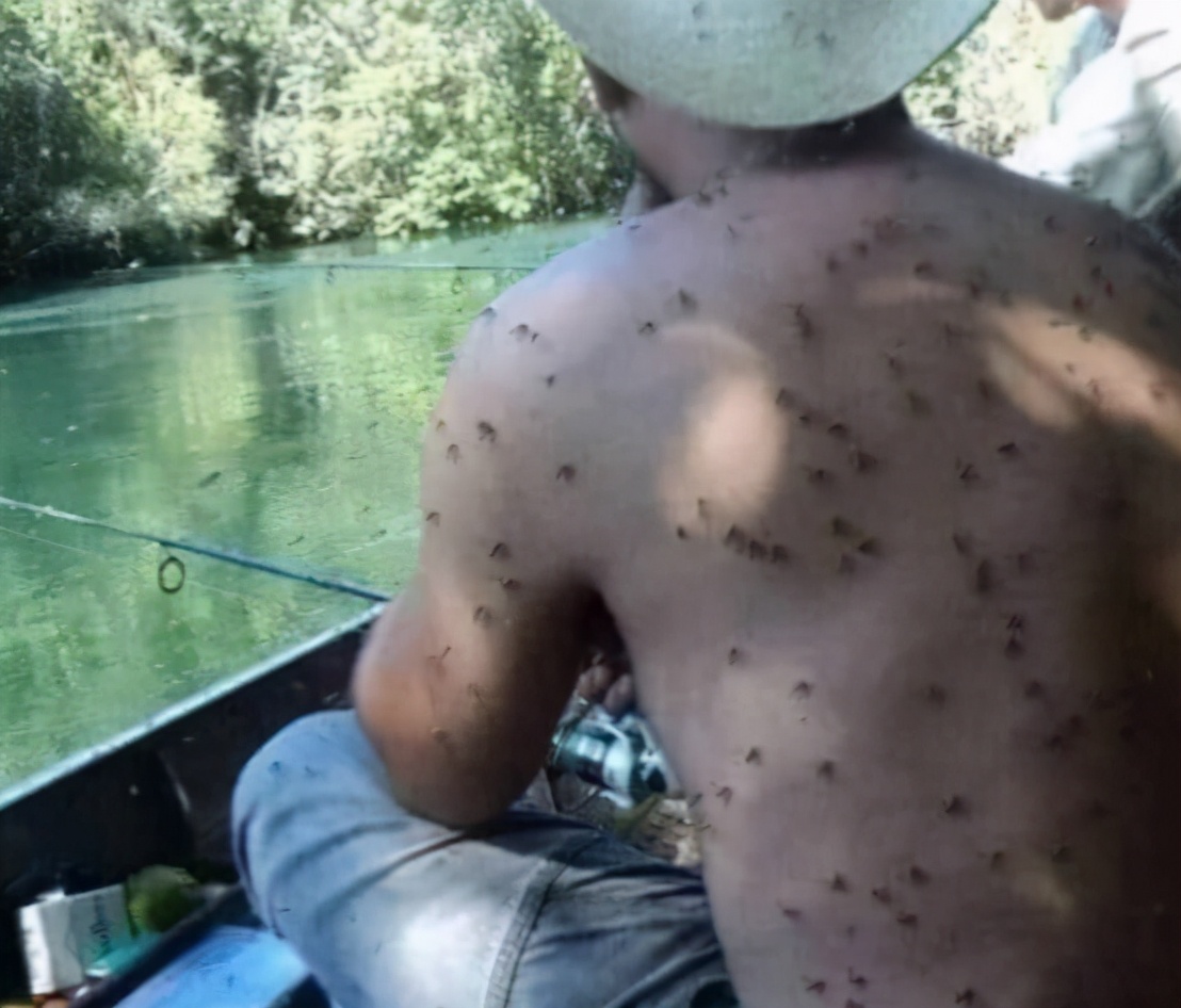 2019爆笑gif动图高清斗图,2019爆笑gif动图高清