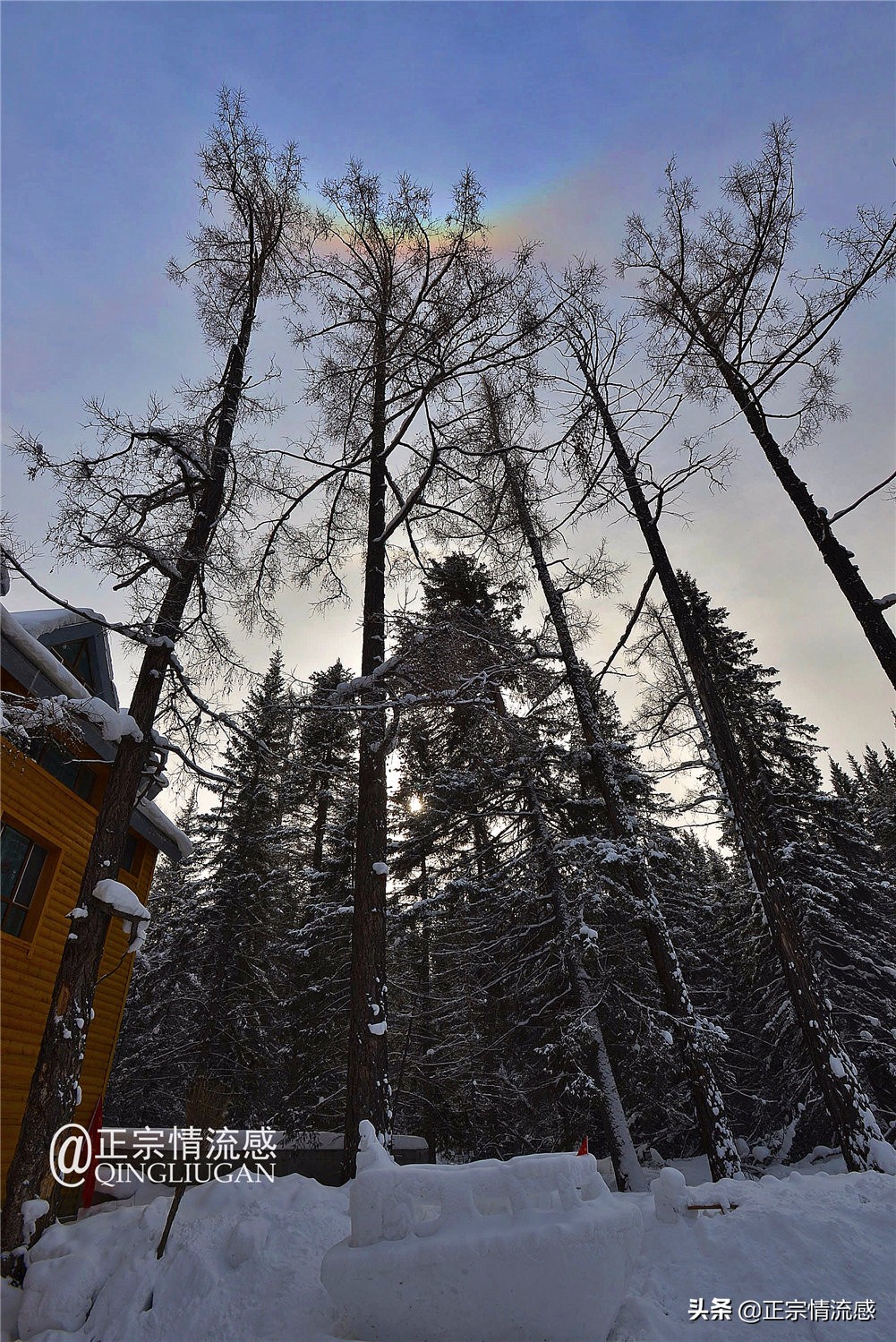 诗与远方：冬游喀纳斯