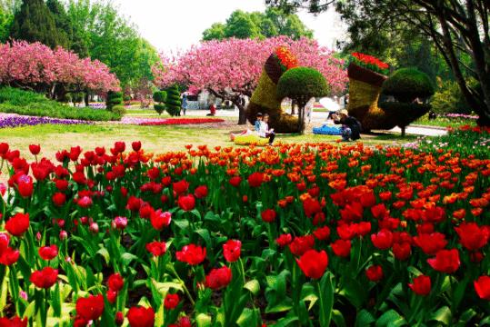 北京4月踏青的地方丰台区有哪些,丰台踏青好去处