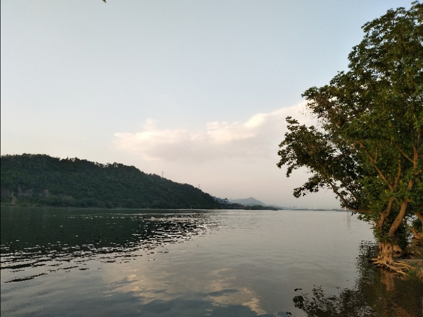 景程燃油压力阀抖动厉害,雪佛兰景程燃油泵召回