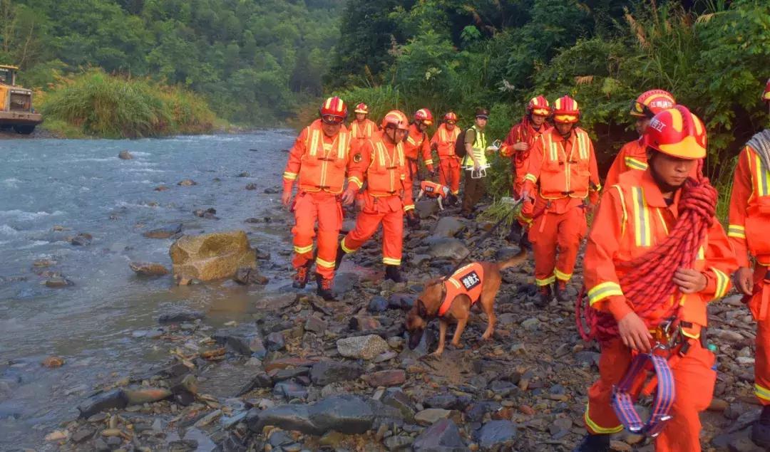 致敬最美逆行者白衣天使,致敬危难时刻的逆行者