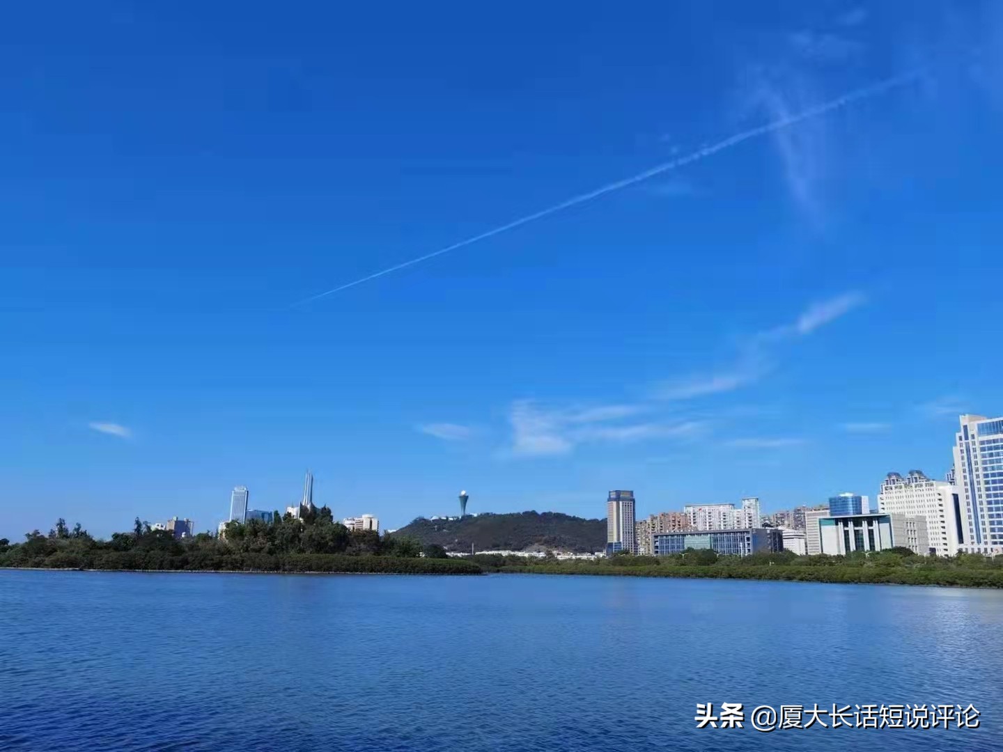 全力打造厦门现代物流产业链总部经济集聚区