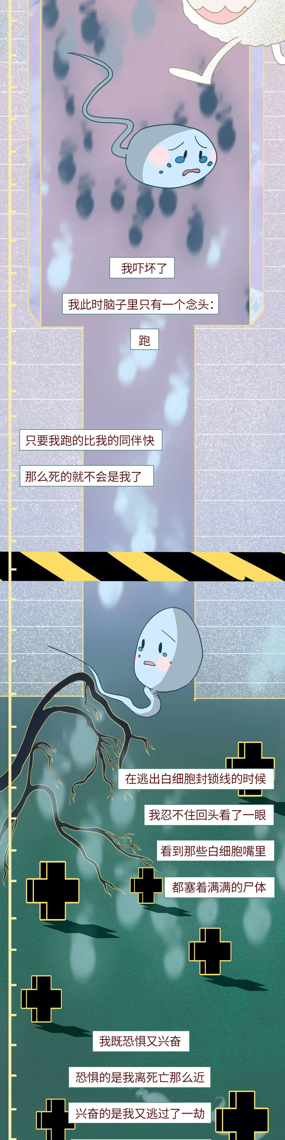 精子进入人体24小时变化,男性精子在体内存活时间