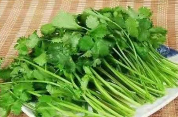 伏天扶阳的最佳方法,入伏吃什么食物祛湿气