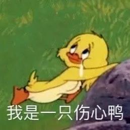 神仙小众品牌,私藏的国货小众品牌