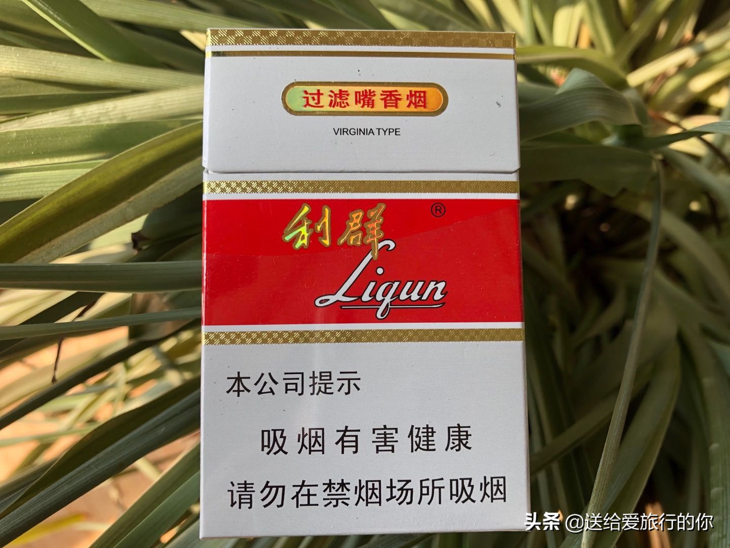 一支香烟飘在空中,一支烟去环游世界