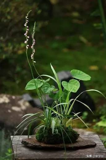 9首诗词9种人生境界你是哪一种,悟透人生的最高境界的诗词