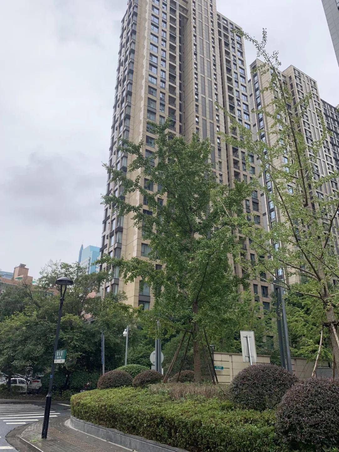 丝绸城与体育场板块，好风送我上青云！|房叔说No.315