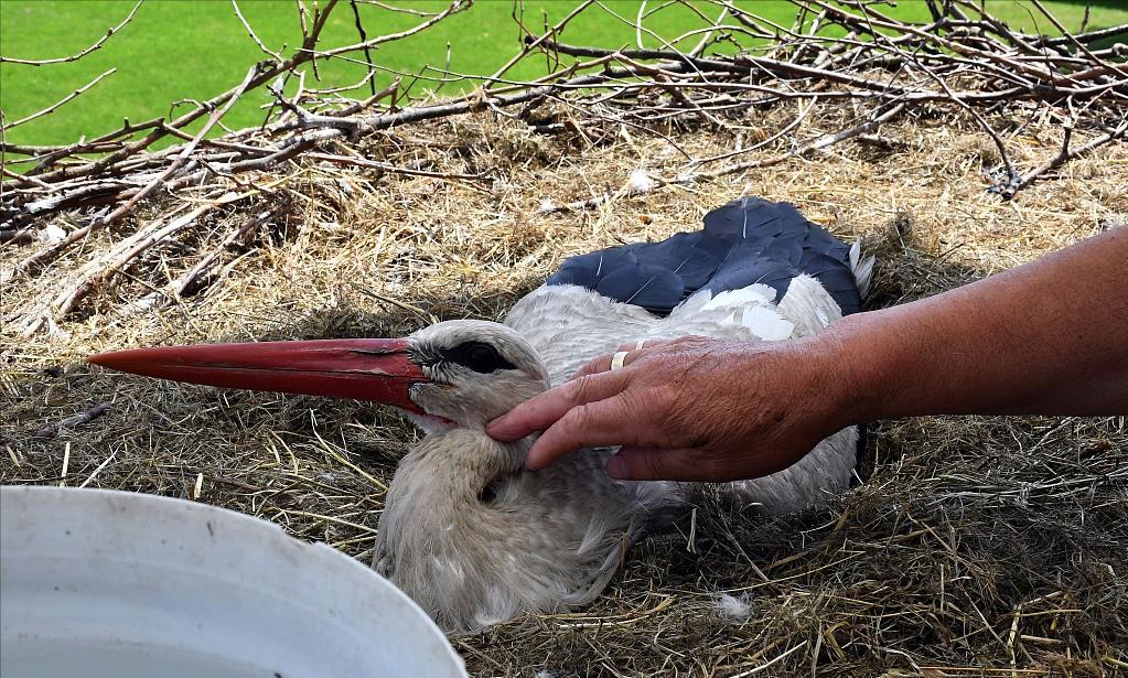18年感人的爱情故事视频,18年的爱情故事