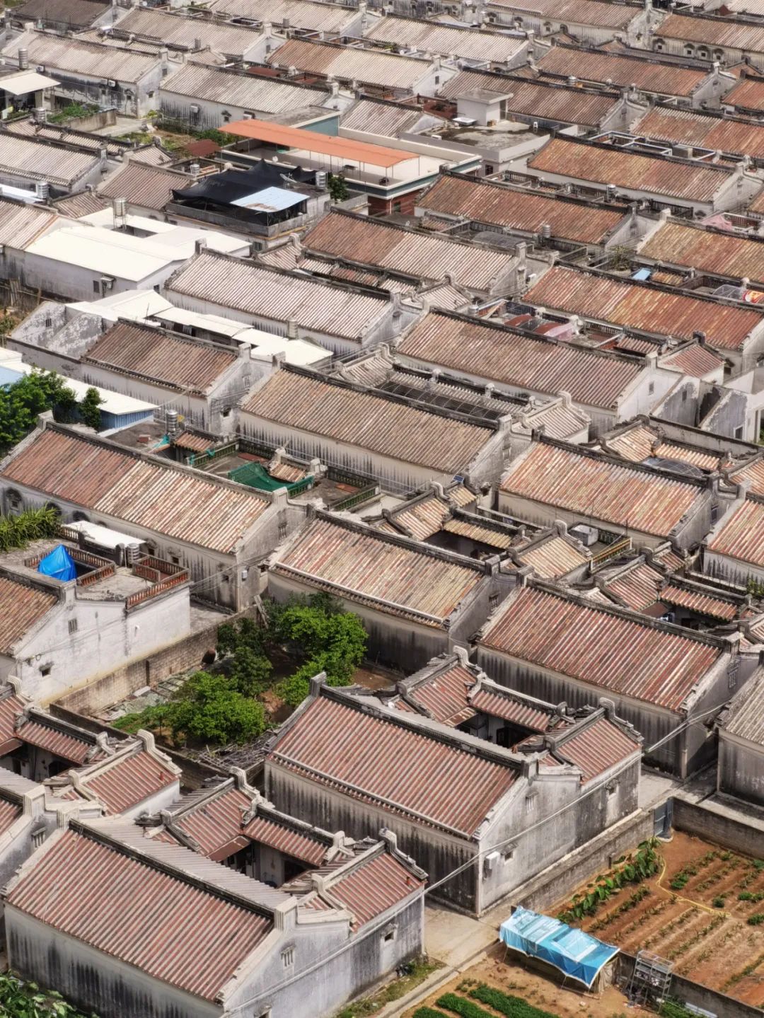 普宁市国土局拆违建房,普宁市拆违建最新消息