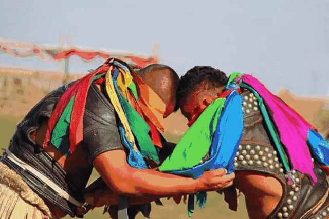 额济纳旅游自由行攻略,额济纳旗旅游最佳省钱攻略