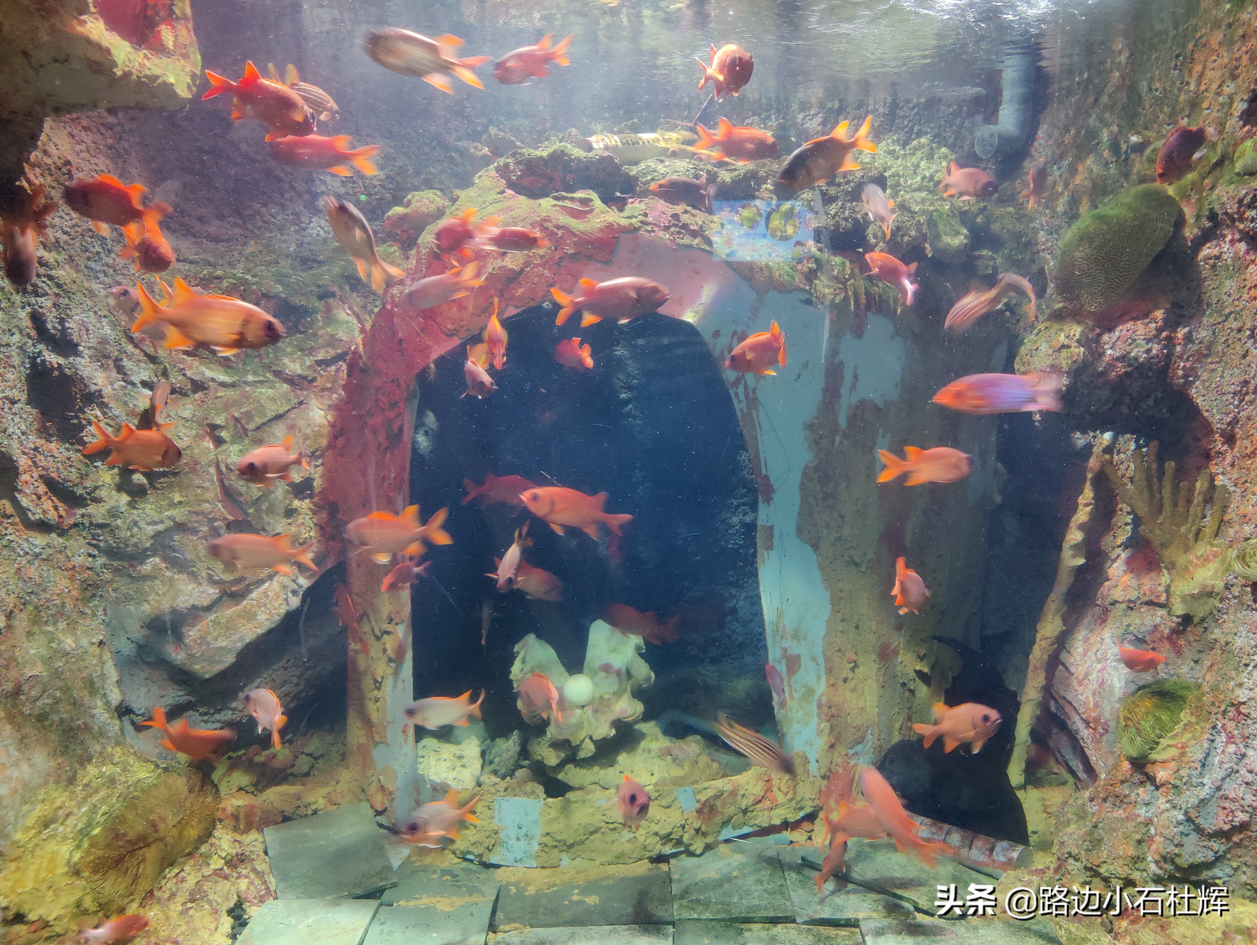 北京海洋馆海底世界游玩攻略,海洋馆北京海底世界游玩路线