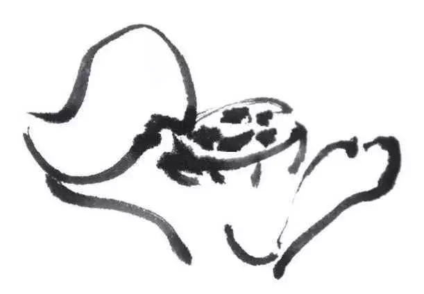 白描荷花的画法图片,如何画荷花白描大片