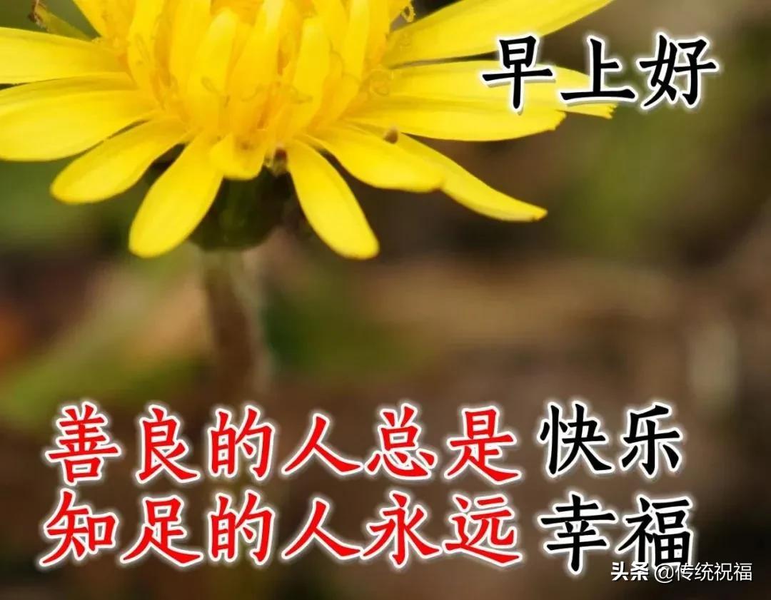 走得太急脚太累女生完整版说说,心累了早安